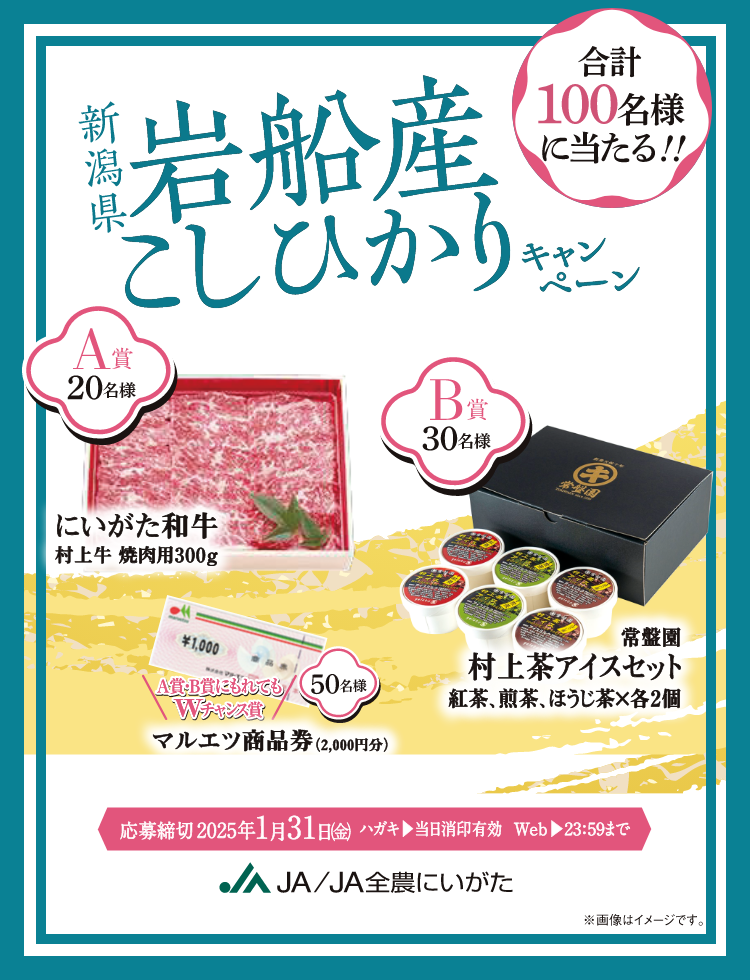 新潟県岩船産こしひかりキャンペーン