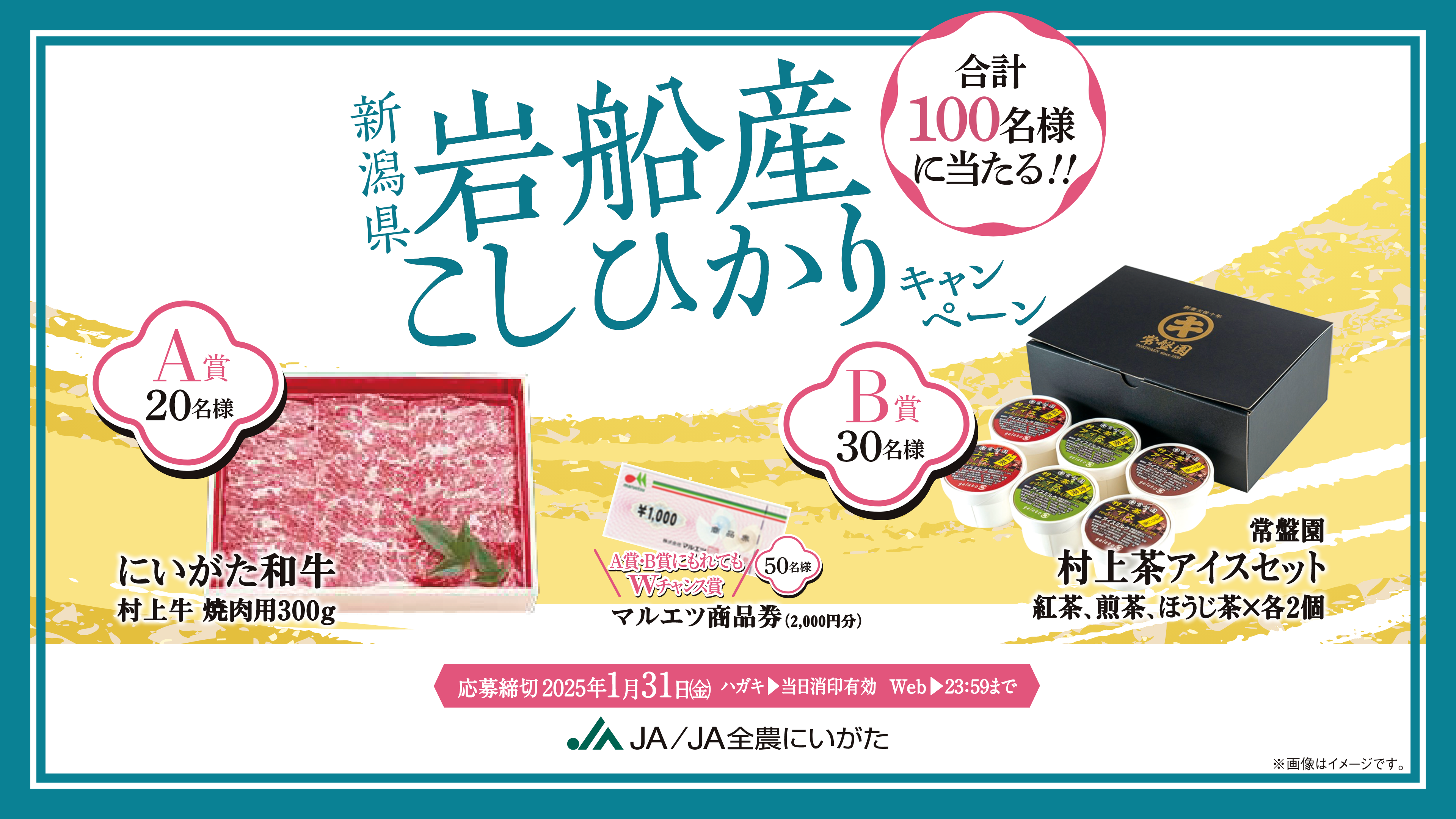 新潟県岩船産こしひかりキャンペーン