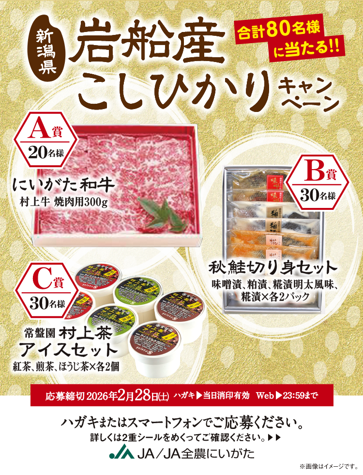 新潟県岩船産こしひかりキャンペーン